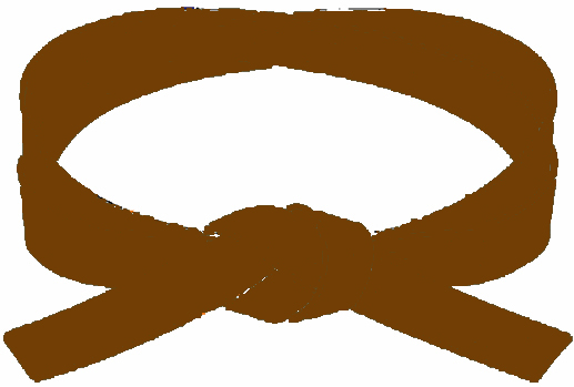 Brown Belt (Sankyu)