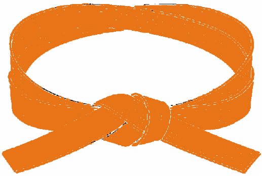 Orange Belt (Jukkyu)