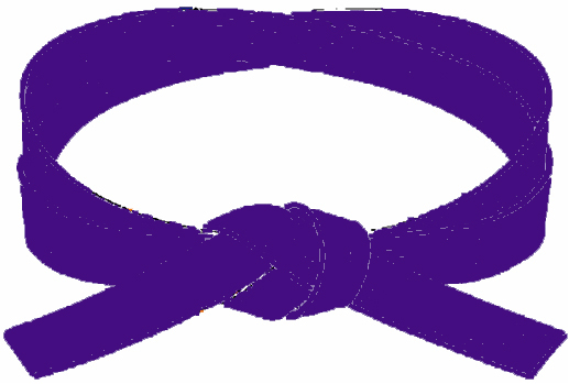 Rokkyu (6th Kyu) Purple Belt