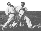 Shimabukuro Hanshi Karate